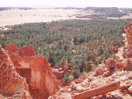 منظر جميل لتمازج واحات النخيل مع النمط العمراني الأصيل لمنطقة قورارة