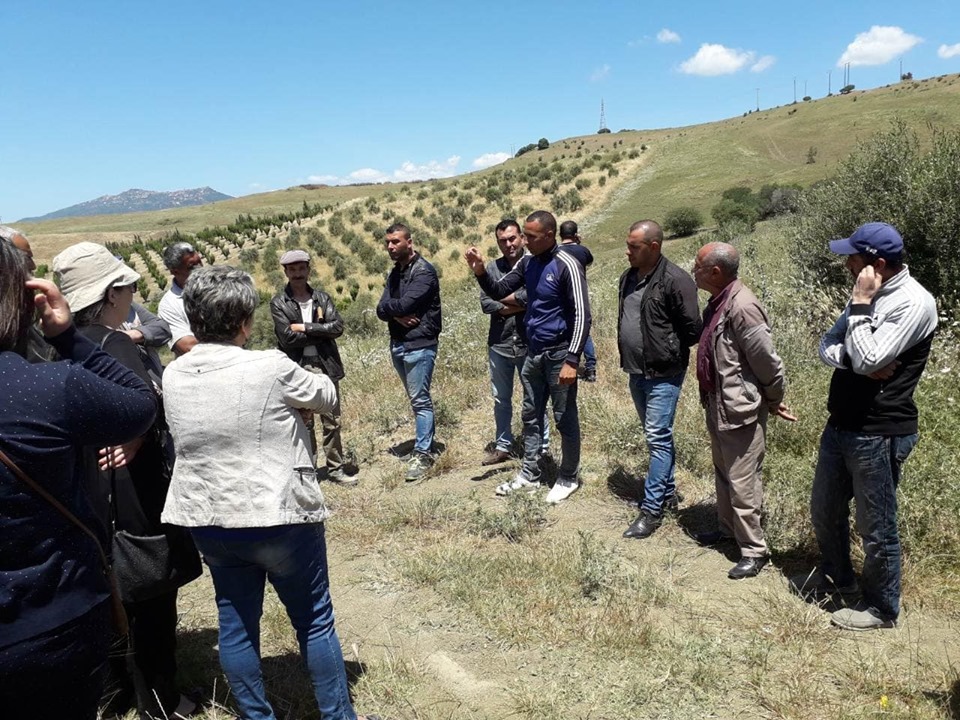 Sensibilisation contre les risques des incendies de récolte des céréales