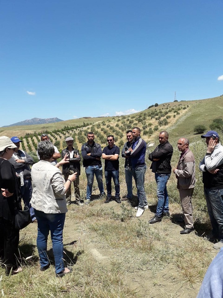 Sensibilisation contre les risques des incendies de récolte des céréales