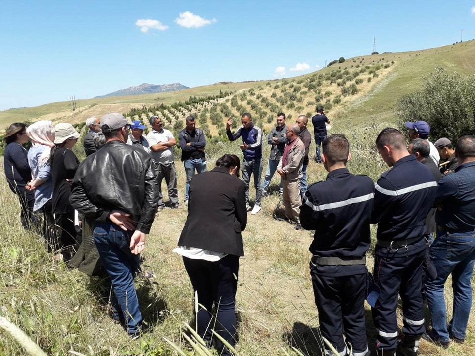 Sensibilisation contre les risques des incendies de récolte des céréales