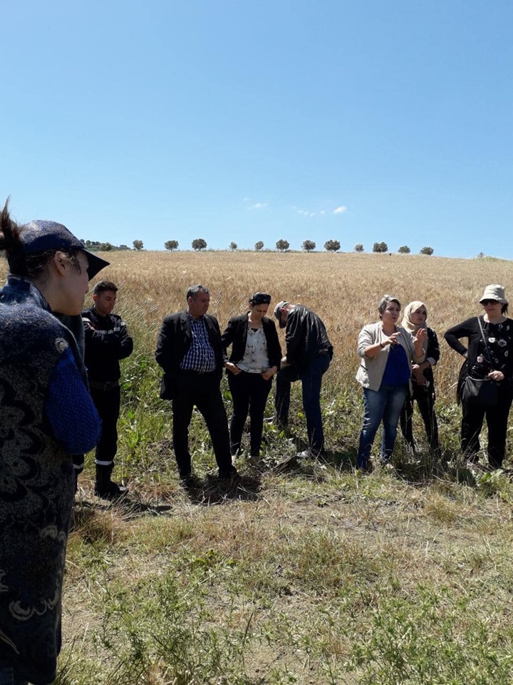 Sensibilisation contre les risques des incendies de récolte des céréales