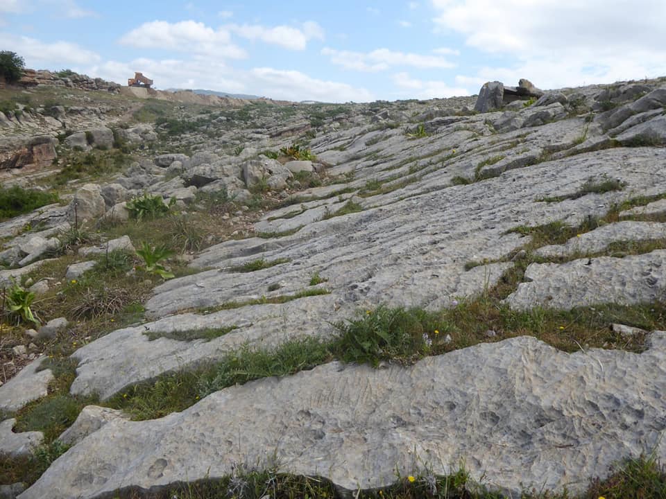 Alerte, on saccage les dolmens de Bounouara (Constantine)