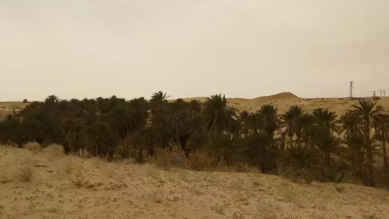 #Bande_verte_Ouargla  !