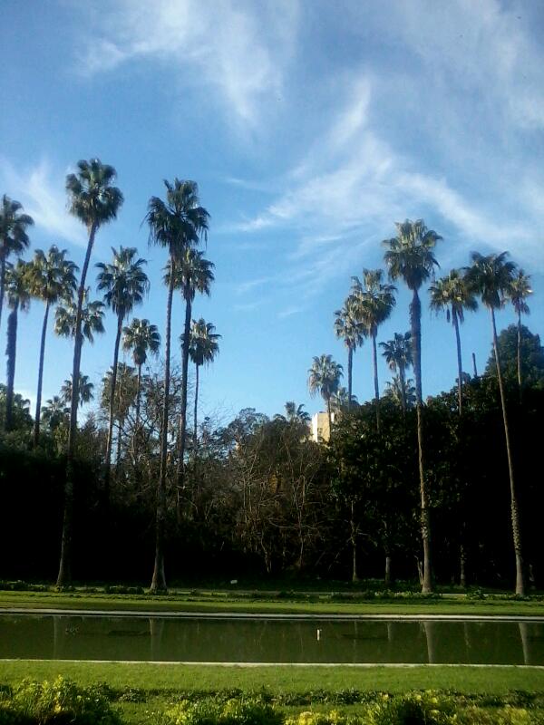 Jardin el Hamma