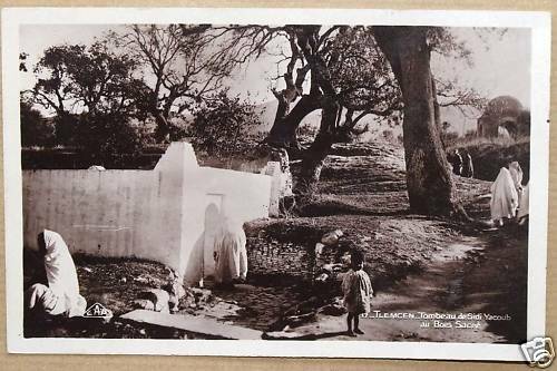 Tlemcen, tombeau de Sidi Yakoub au bois sacré