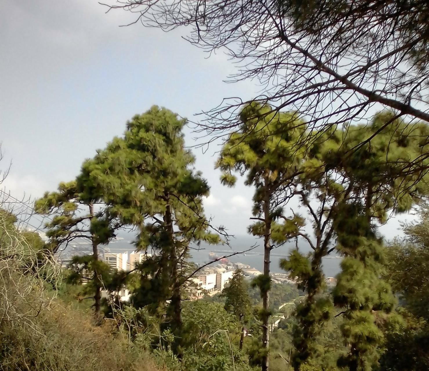 La plus petite plage d'Alger, Bouloughine.