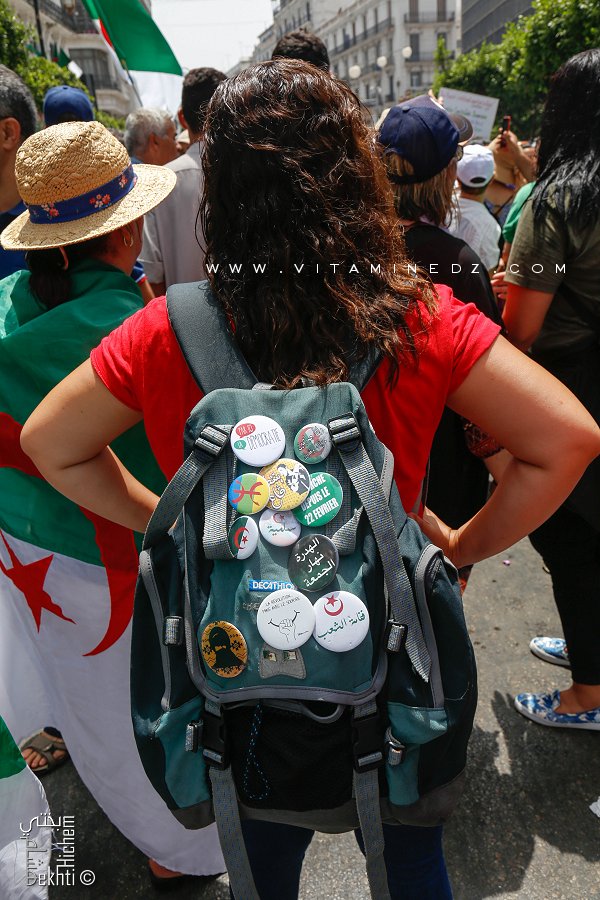 Belle collection de Pins de la révolution algérienne