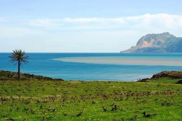 Paysages et délices de #Dellys_Boumerdès....!