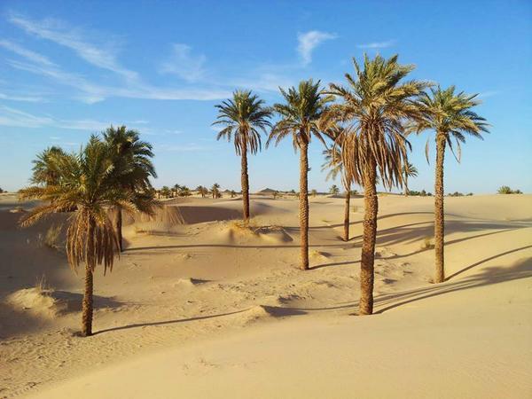 La Légende sur la création d’In Salah.... !