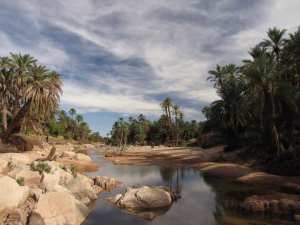 #Aïn_Sefra wilaya de #Naâma #Algérie.. !