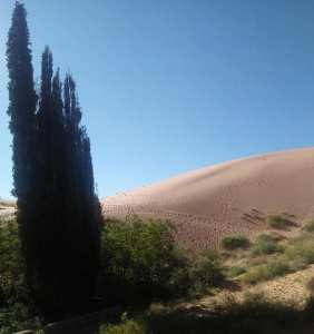 #Aïn_Sefra wilaya de #Naâma #Algérie.. !