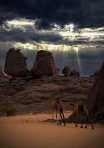 Le sahara, le désert le plus chaud au monde... !