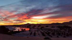 Oued Saoura, le Nil du Sud-Ouest Algérien... !