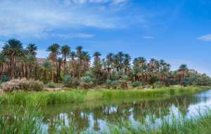 Oued Saoura, le Nil du Sud-Ouest Algérien... !