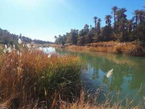 Oued Saoura, le Nil du Sud-Ouest Algérien... !