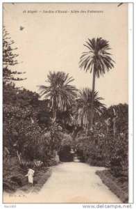 حديقة التجارب ، حي الحامة بالعاصمة زمان