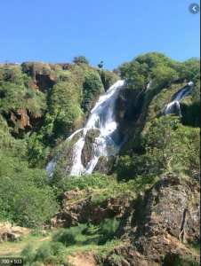 جمال ولاية سعيدة