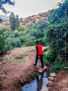 Ain Ben Sari ou Ain Fouara une des sources de Tlemcen