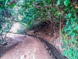 Sources de Tlemcen : Ain Ben Sari ou Ain Fouara