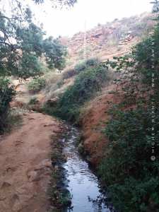 Sources de Tlemcen : Ain Ben Sari ou Ain Fouara aux petits perdreaux