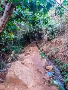 Ain Ben Sari ou Ain Fouara une des sources sur les hauteurs de Tlemcen