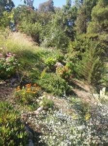 Constantine – Djenane Dardar Qacentina se remet à revivre après une période très chaude et destructrice