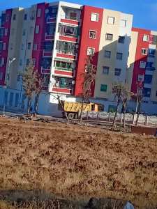 جمع نفايات البلاستكية