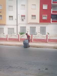 جمع نفايات البلاستكية