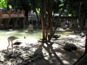 Jardin d'essai-le Jardin zoologique