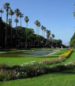 Le Jardin d'essai- l'allée des palmiers