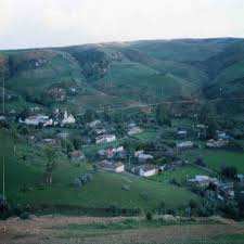 احرار ابيض مجاجة