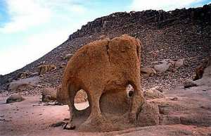 Le patrimoine de djanet