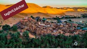 TAGHIT🇩🇿