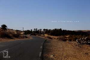 Taghit, route de la palmeraie menant vers Zaouia Tahtania