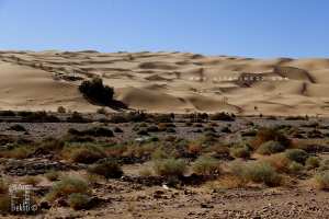 Oued Zousfana non loin de Taghit