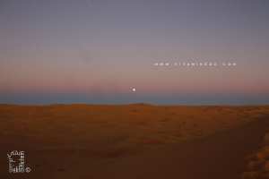 Taghit : dunes du Grand Erg Occidental