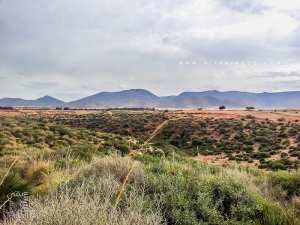 Fermes agricole à Tagma, le Oud Chouly passe par là