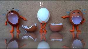 فارغ الجوف فقط من يستهزئ بالآخرين و ينسى نفسه