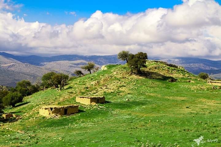 ثافرنث بآريس