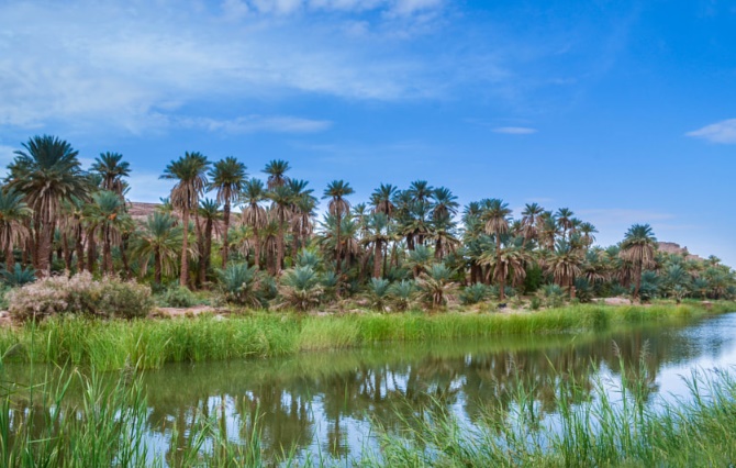 Oued Saoura, le Nil du Sud-Ouest Algérien... !
