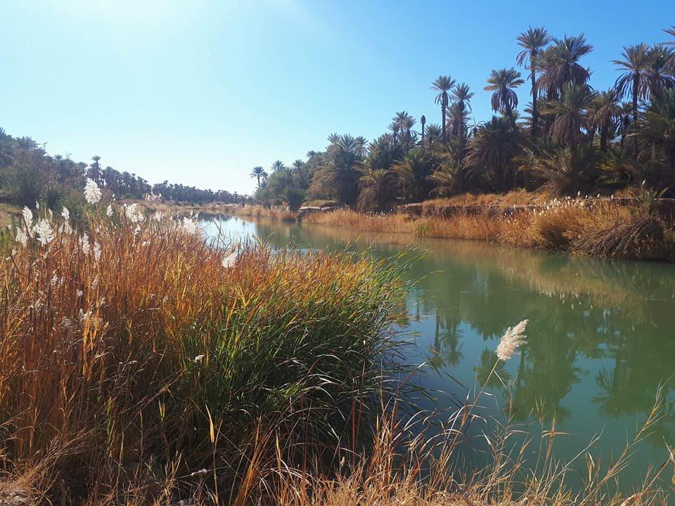 Oued Saoura, le Nil du Sud-Ouest Algérien... !