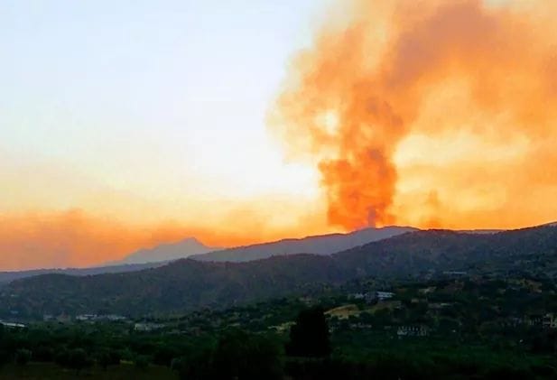 Quand les kabyles nettoyaient leur environnement, la Kabylie ne brûlait