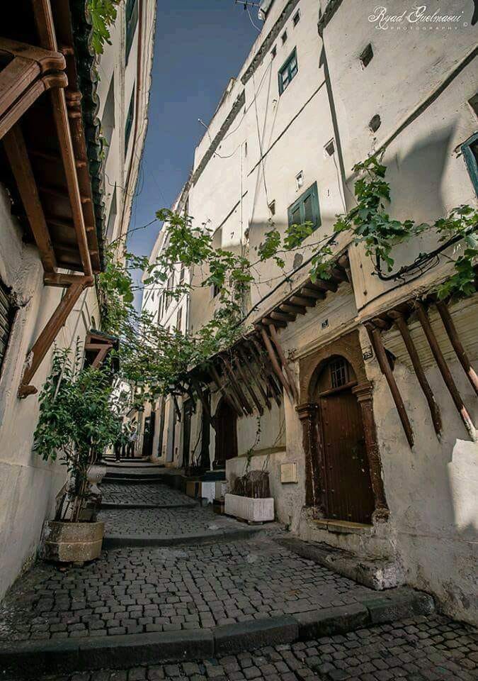 #هل_تعلم؟ #ماذا_ترك_الزيرييون_كإرث_حضاري؟