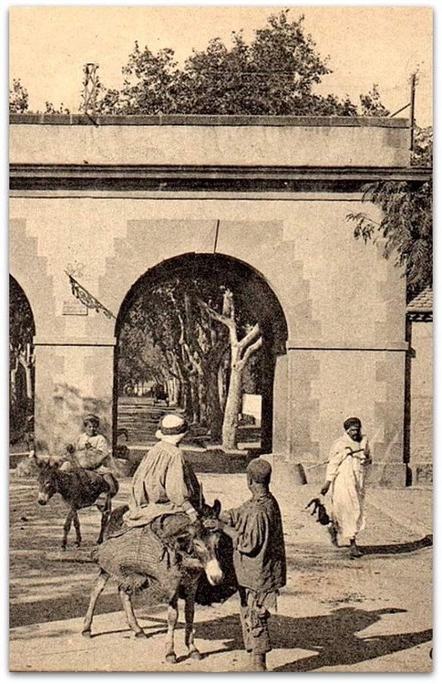 صورة لإحدى أبواب مدينة مليانة التاريخية باب دزاير