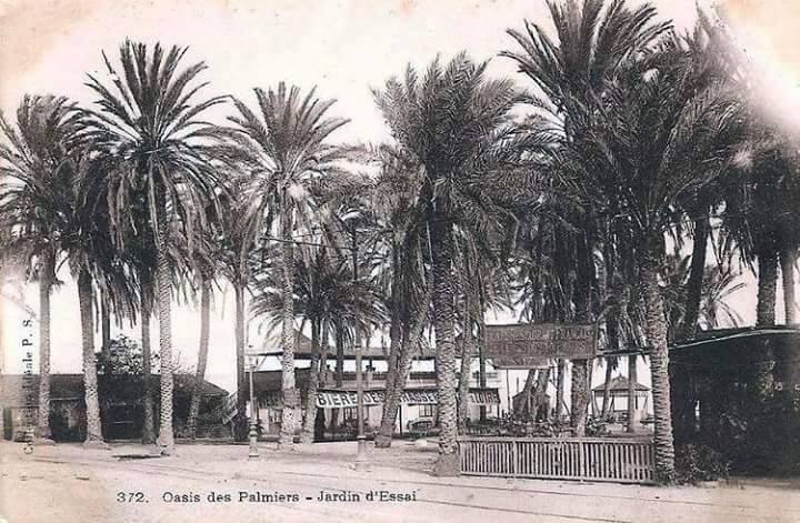 حي الحامة بالعاصمة زمان