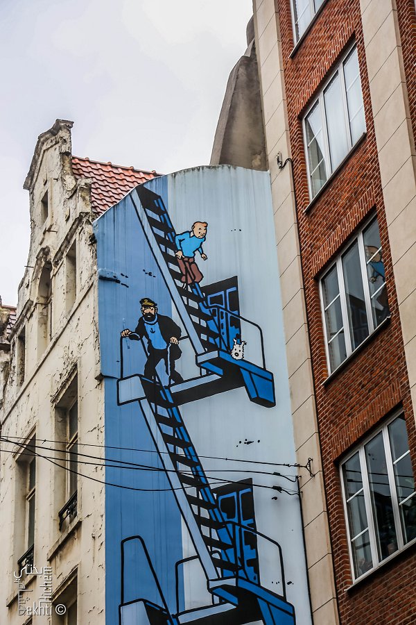 Tintin habitait bruxelles mais a-t-il un jour visité l'Algérie?