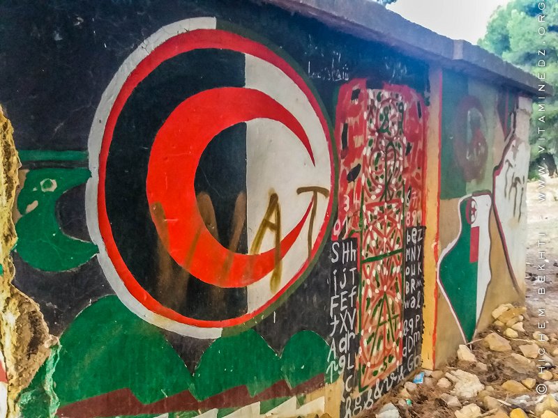 Graffitis et modes d'expression du Hirak (Ici à Tlemcen) #streetart