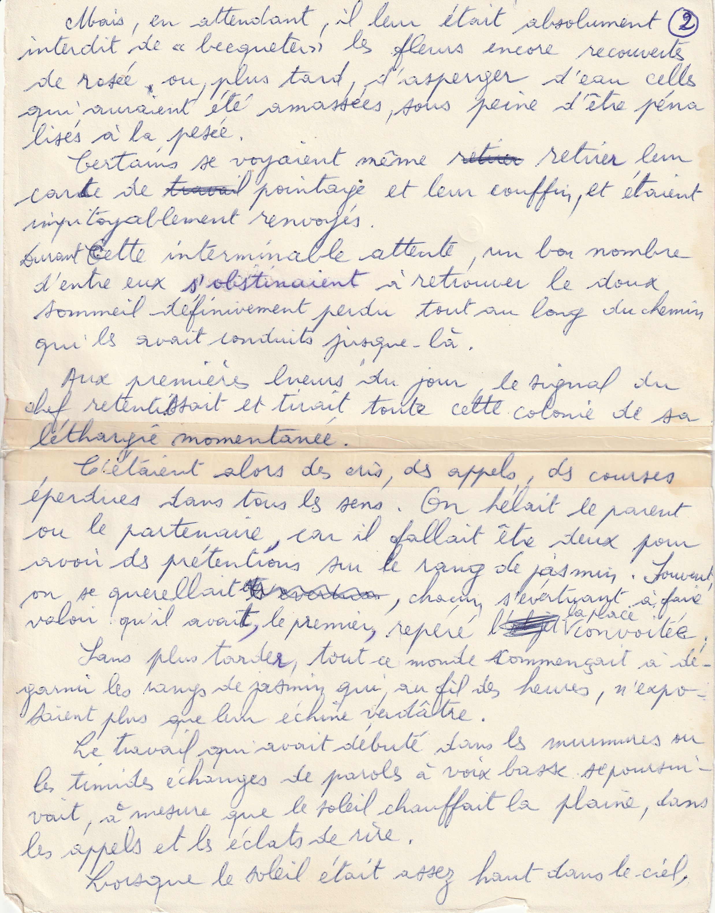 Travaux champêtres saisonniers sous la colonisation (2)