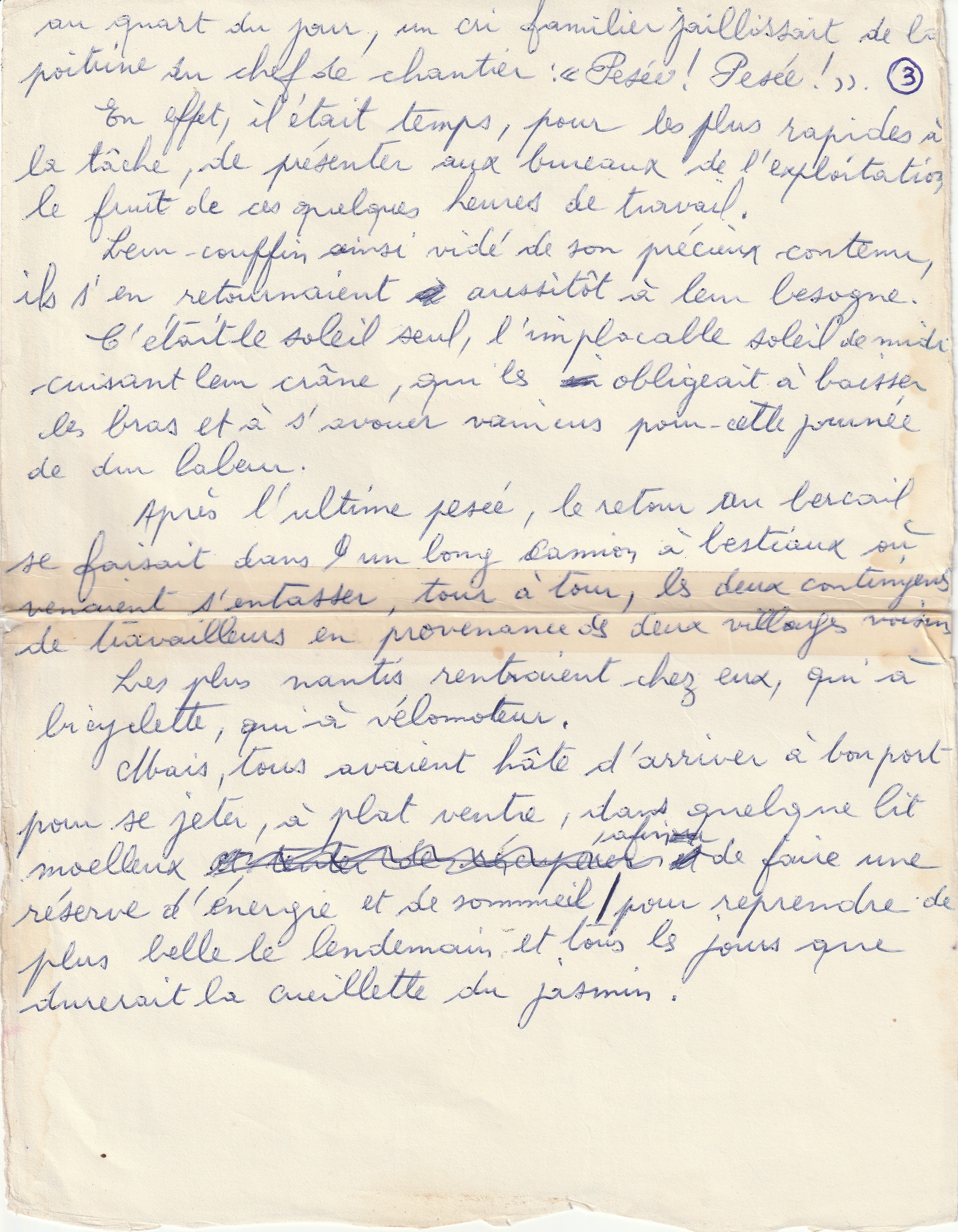 Travaux champêtres saisonniers sous la colonisation (3)