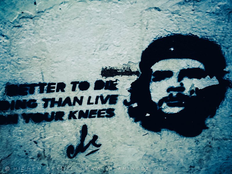 Che Guevara l'icone vénérée des révolutionnaires et de la jeunesse algérienne